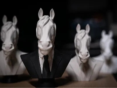 A horse wearing a suit (A horse wearing a suit)