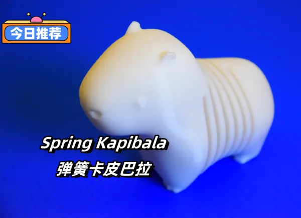 https://makerworld.bblmw.com/makerworld/model/US15f021585157a5/design/2024-08-07_4cb5e69fb3cb3.jpg