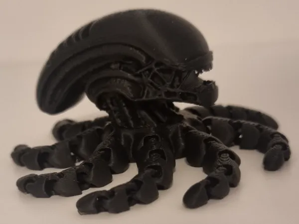 https://makerworld.bblmw.com/makerworld/model/US15f457e68eb3ff/design/2025-03-05_76b60c2128e4b.jpg