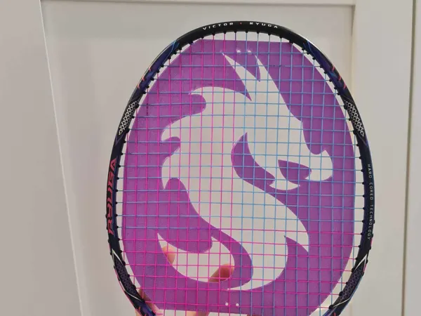 https://makerworld.bblmw.com/makerworld/model/US15f53cc8550358/design/2024-06-20_8d5ff73d64edc8.jpeg