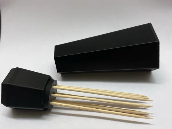 https://makerworld.bblmw.com/makerworld/model/US15fc947c2f2ca0/design/2024-11-30_21976870a477f.jpeg