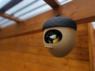 Ice Age Birdhouse