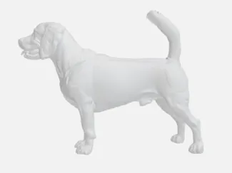 Simple Beagle Dog