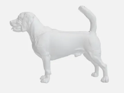Simple Beagle Dog
