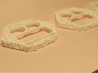 0.2mm layer, 2 walls, 20% infill