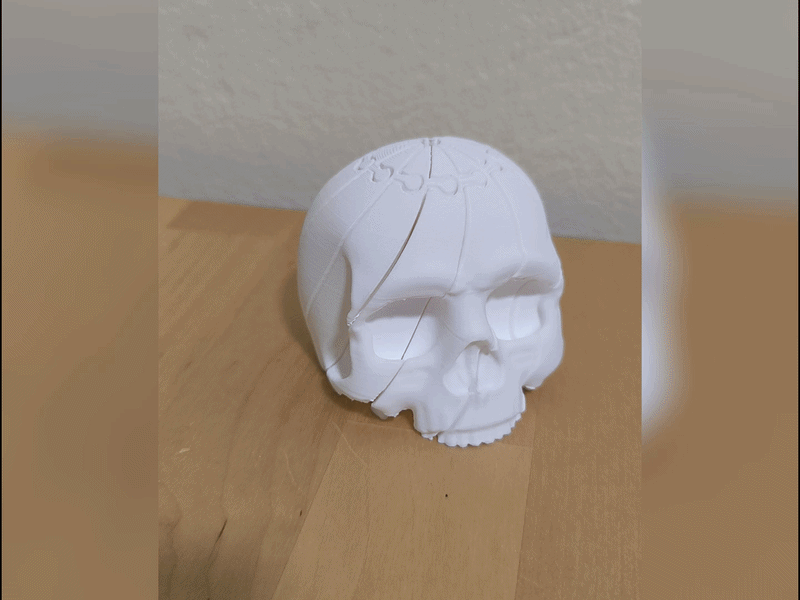 Twisted Skull Fidget