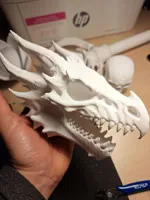 Crâne de dragon — photo 2
