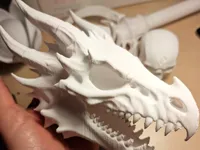 Crâne de dragon — photo 1