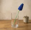 1x Muscari to Vase - A1 Mini