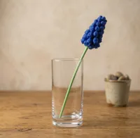 1x Muscari to Vase - A1 Mini