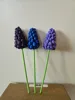 3x Muscari to Vase