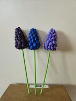 3x Muscari to Vase