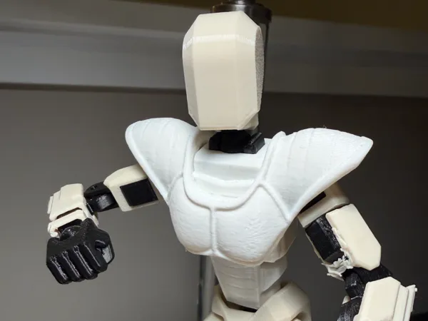 https://makerworld.bblmw.com/makerworld/model/US160d008734a10e/design/9e9bd2538a458e45.jpeg