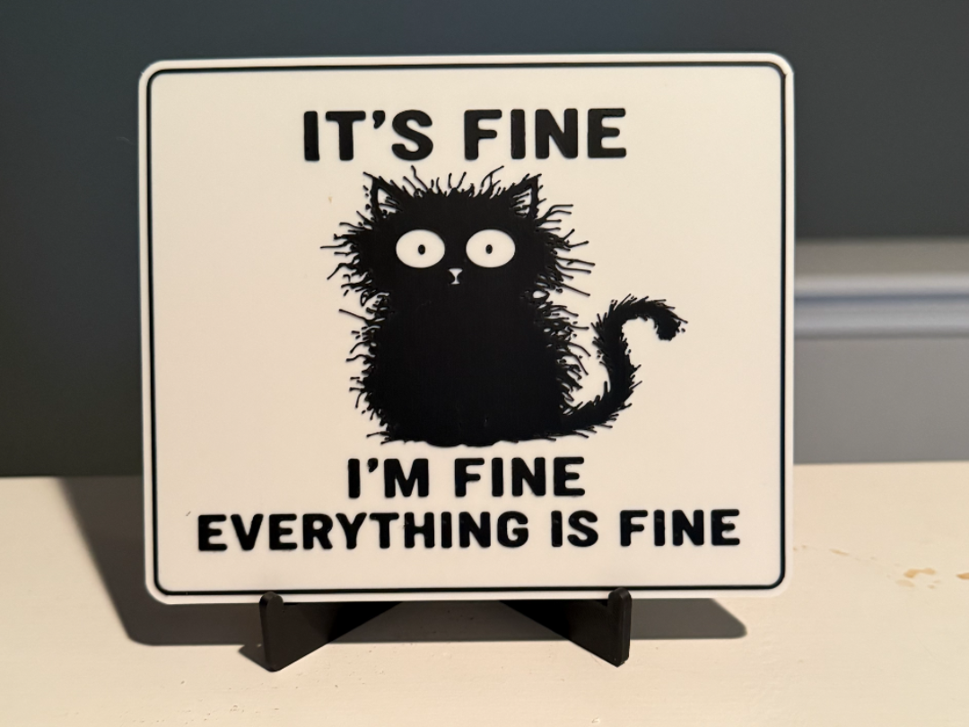 IT'S FINE, I'M FINE, EVERYTHING IS FINE
