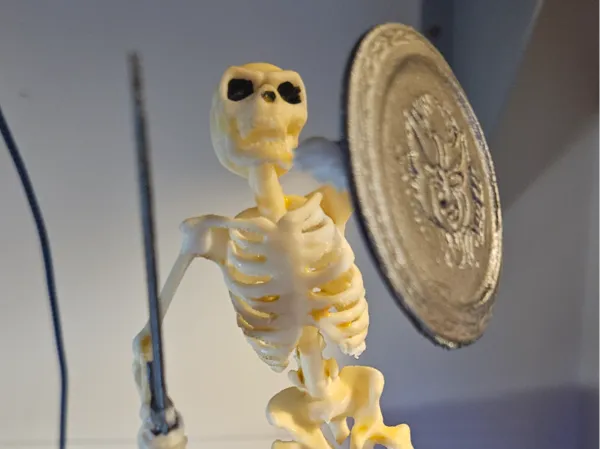 https://makerworld.bblmw.com/makerworld/model/US160da490b20a8f/design/2025-07-06_40e36a9e207d78.jpg