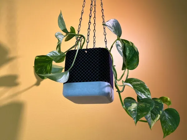 https://makerworld.bblmw.com/makerworld/model/US16100849ad5cf3/design/2025-05-26_2b3f92c75f26c.jpg