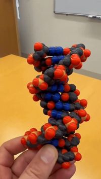 4 colors, requires support, 0.2mm layer, 2 walls, 15% infill