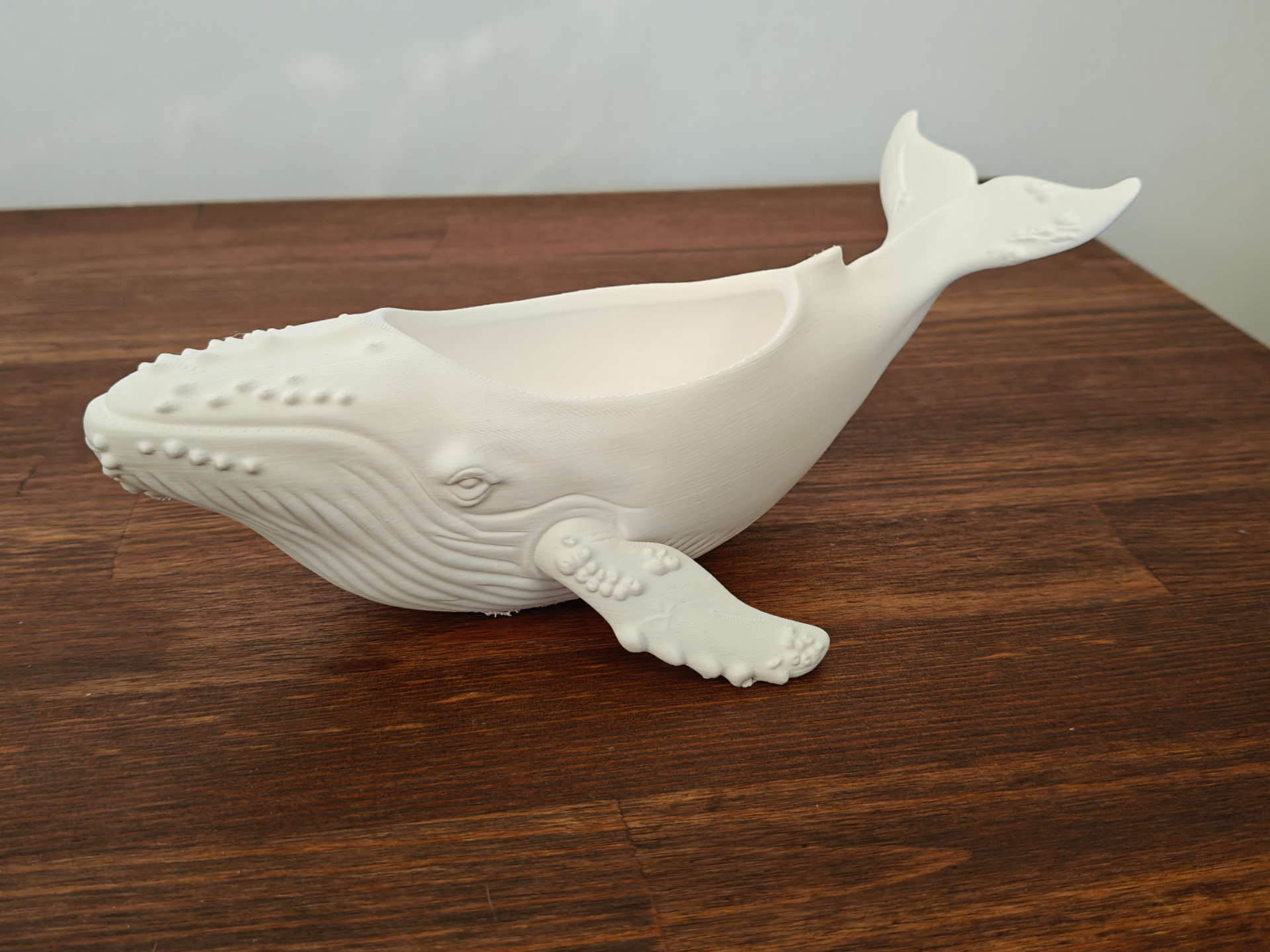 Realistic Majestic Humpback Whale Organizer Bowl
