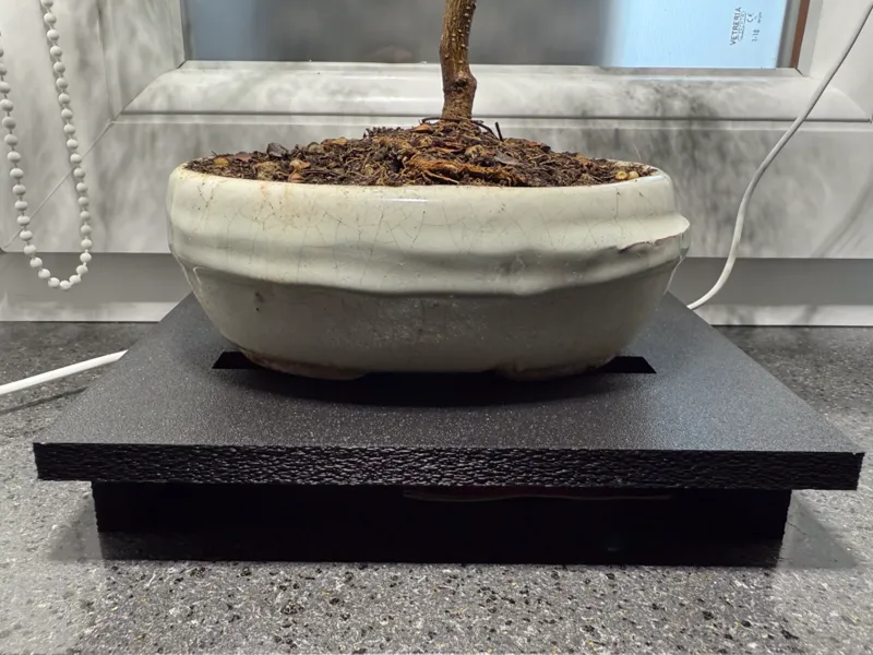 Alzatina o supporto per Bonsai 