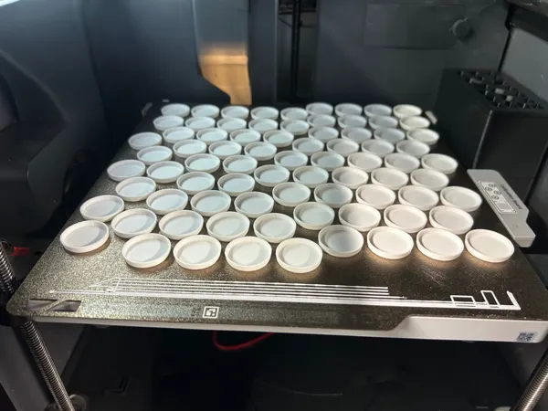 https://makerworld.bblmw.com/makerworld/model/US1618a0bd2e7132/design/2025-12-31_06f06f7901cc38.jpeg