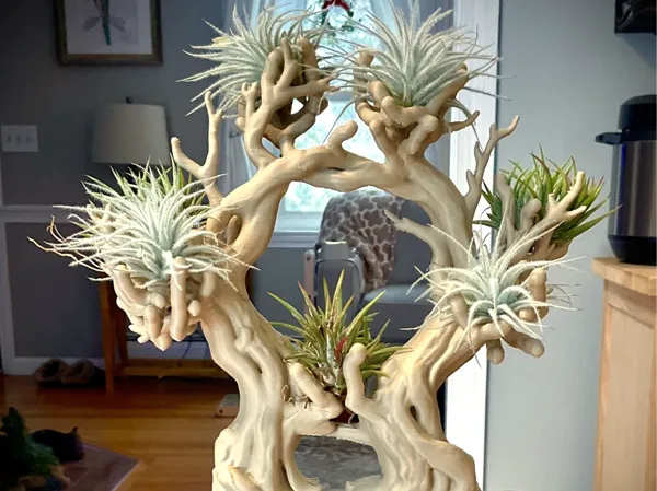 https://makerworld.bblmw.com/makerworld/model/US161d4d5833626c/design/49ec1efdc0a4c974.jpg