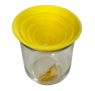 Fruit Fly Catcher
