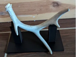 Deer shed holder