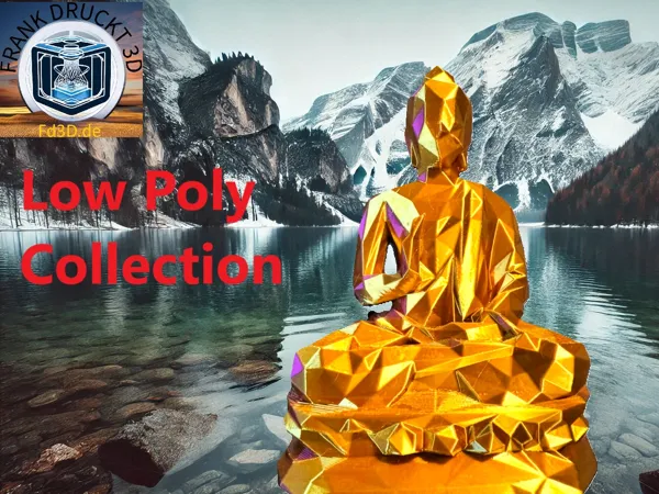 https://makerworld.bblmw.com/makerworld/model/US162d8b230fbbbe/design/2024-12-14_2e2fe6e53a6a68.jpg