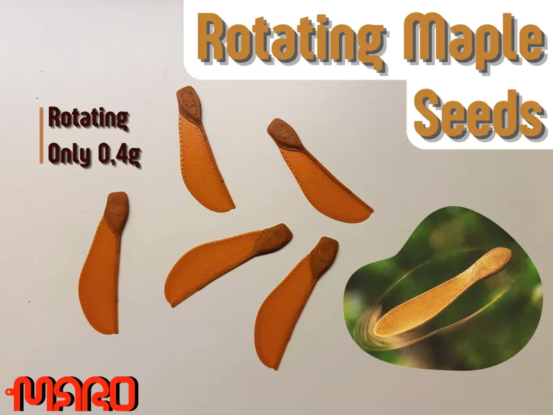 Rotating Maple Seeds