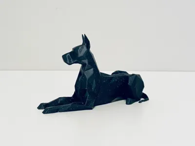 Stylish dog