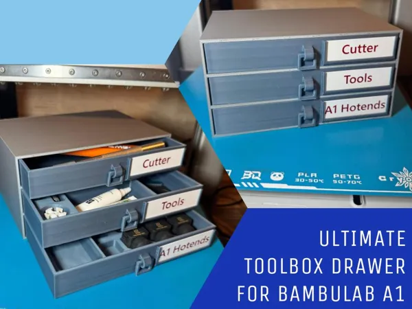 https://makerworld.bblmw.com/makerworld/model/US1635864a5c932c/design/2025-01-10_cbec43dafc24e.jpeg