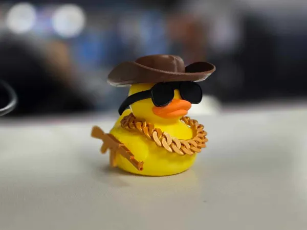 https://makerworld.bblmw.com/makerworld/model/US1635a9b8ad314a/design/2025-02-04_fbcc9c6b68069.jpg