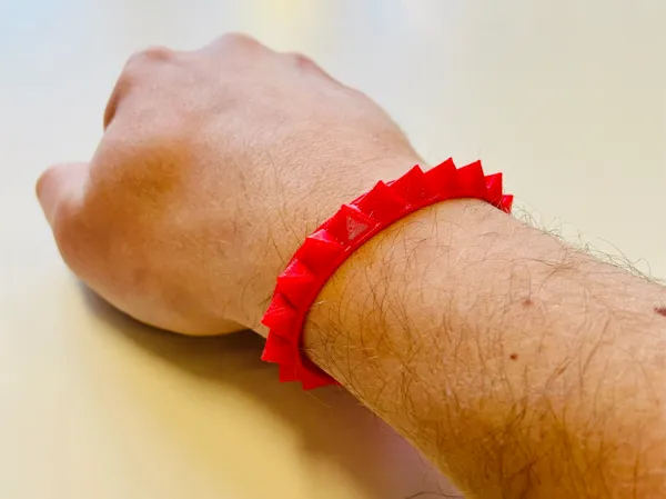 https://makerworld.bblmw.com/makerworld/model/US1636510891c318/design/f76d674ee8ff9be4.jpeg
