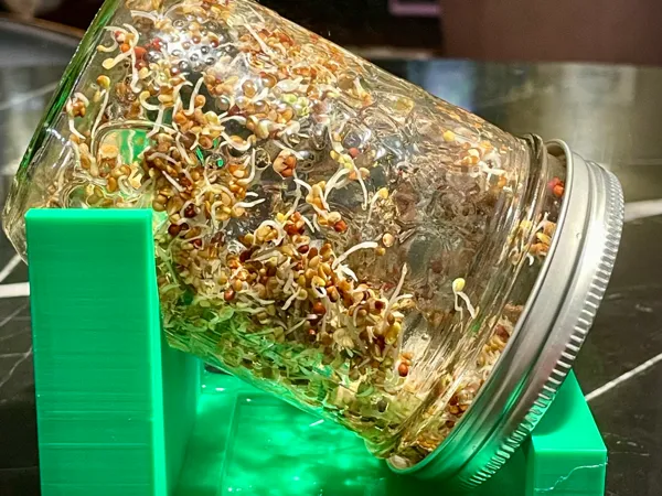 https://makerworld.bblmw.com/makerworld/model/US163a78b10b6fb3/design/2024-10-27_8afbae0711833.jpg