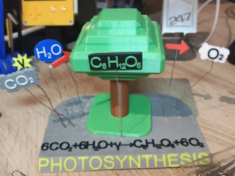 Photosynthesis Model