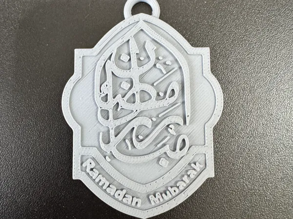 https://makerworld.bblmw.com/makerworld/model/US1641abd0276535/design/2025-02-18_7a0716987c0548.jpeg