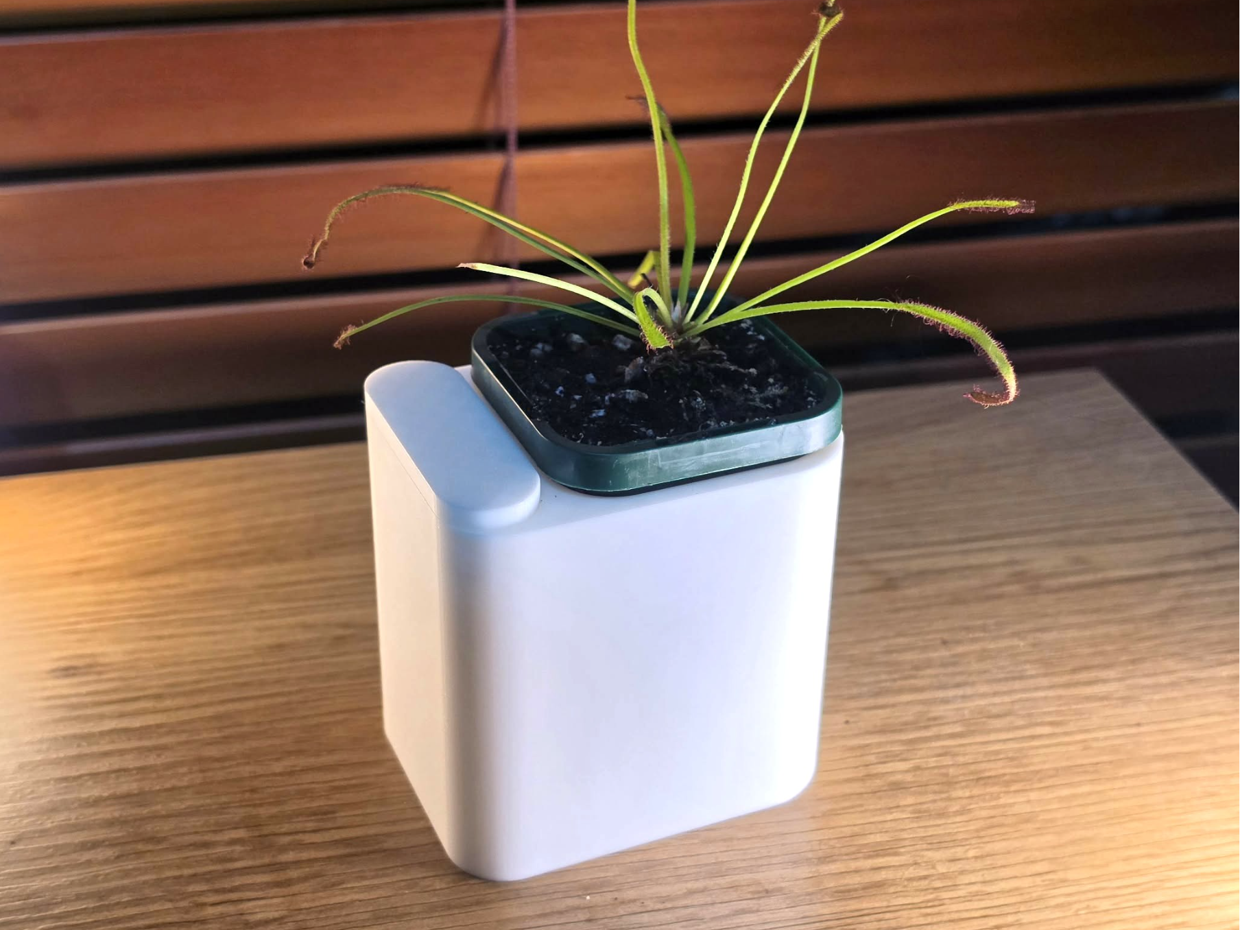Small Self Watering Pot (60mm x 60mm)