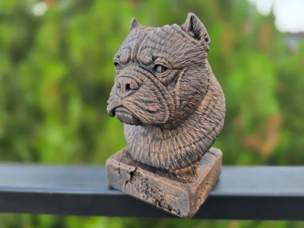 https://makerworld.bblmw.com/makerworld/model/US164d381318d054/design/2025-07-25_ea3ca31d8682e.jpg