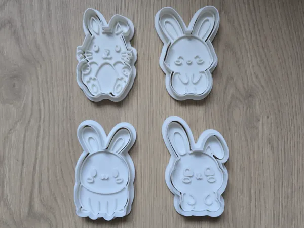 https://makerworld.bblmw.com/makerworld/model/US164db101f28279/design/2025-03-21_5c950cf832731.jpg