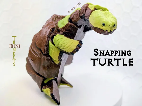 https://makerworld.bblmw.com/makerworld/model/US1654321af28ba6/design/41655caf4214a18a.png