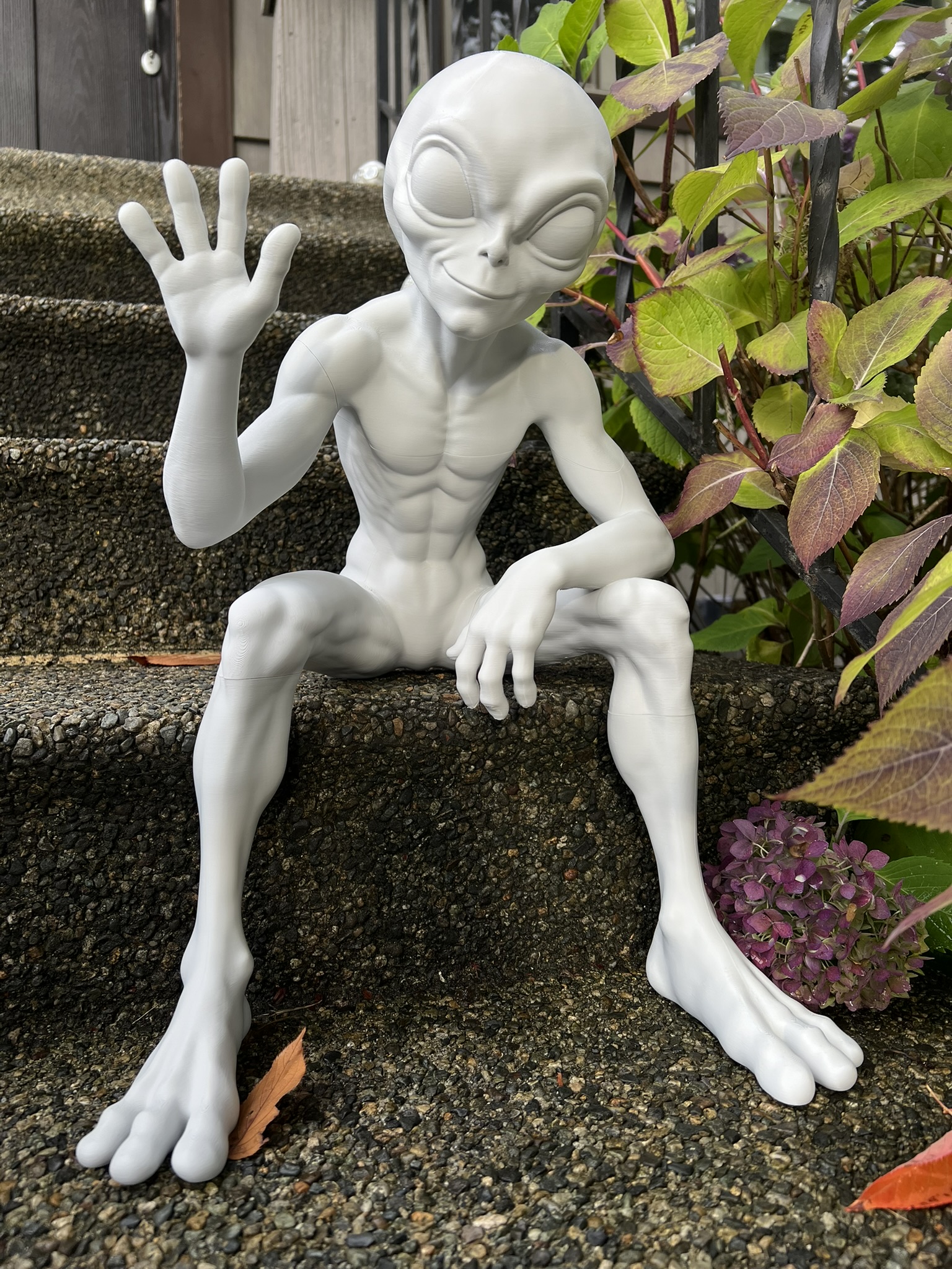 Foto 2