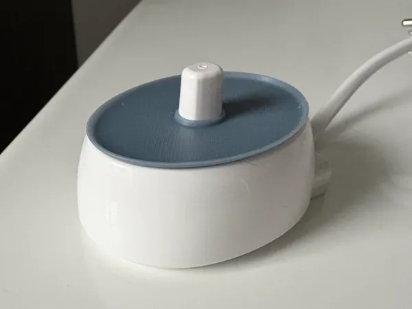 https://makerworld.bblmw.com/makerworld/model/US165bec1df70c5c/design/2025-11-16_9da9a9131b53f.jpeg