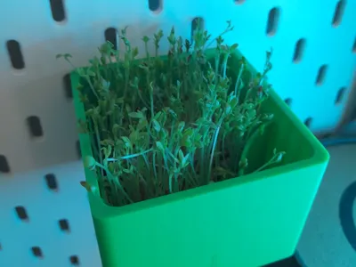 Self-watering grow container for Skadis