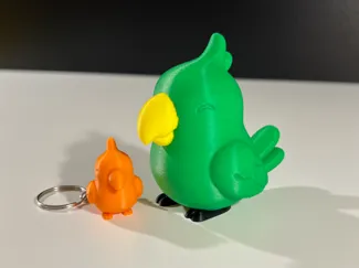 Cute Parrot
