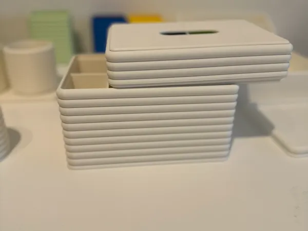 https://makerworld.bblmw.com/makerworld/model/US1663db95d65298/design/2025-05-02_cd3992050eca38.jpeg
