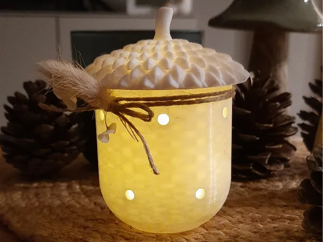 acorn light