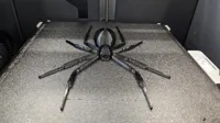⭐ Optimized 🫱XXL🫲 Spider 0.08mm