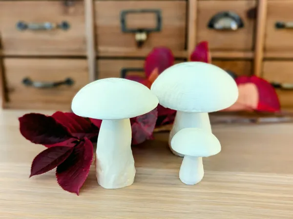https://makerworld.bblmw.com/makerworld/model/US16699eb4fbe94c/design/2025-10-03_19ecdb2cf191e8.jpg