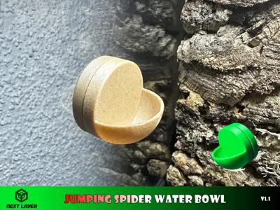 Jumping spider water bowl