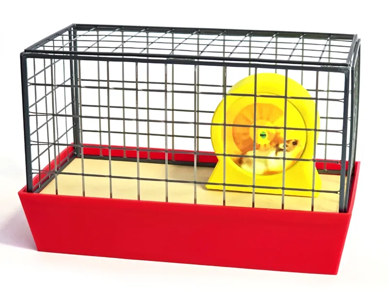 Hamsterrad Animation Display (Easy to Build!)